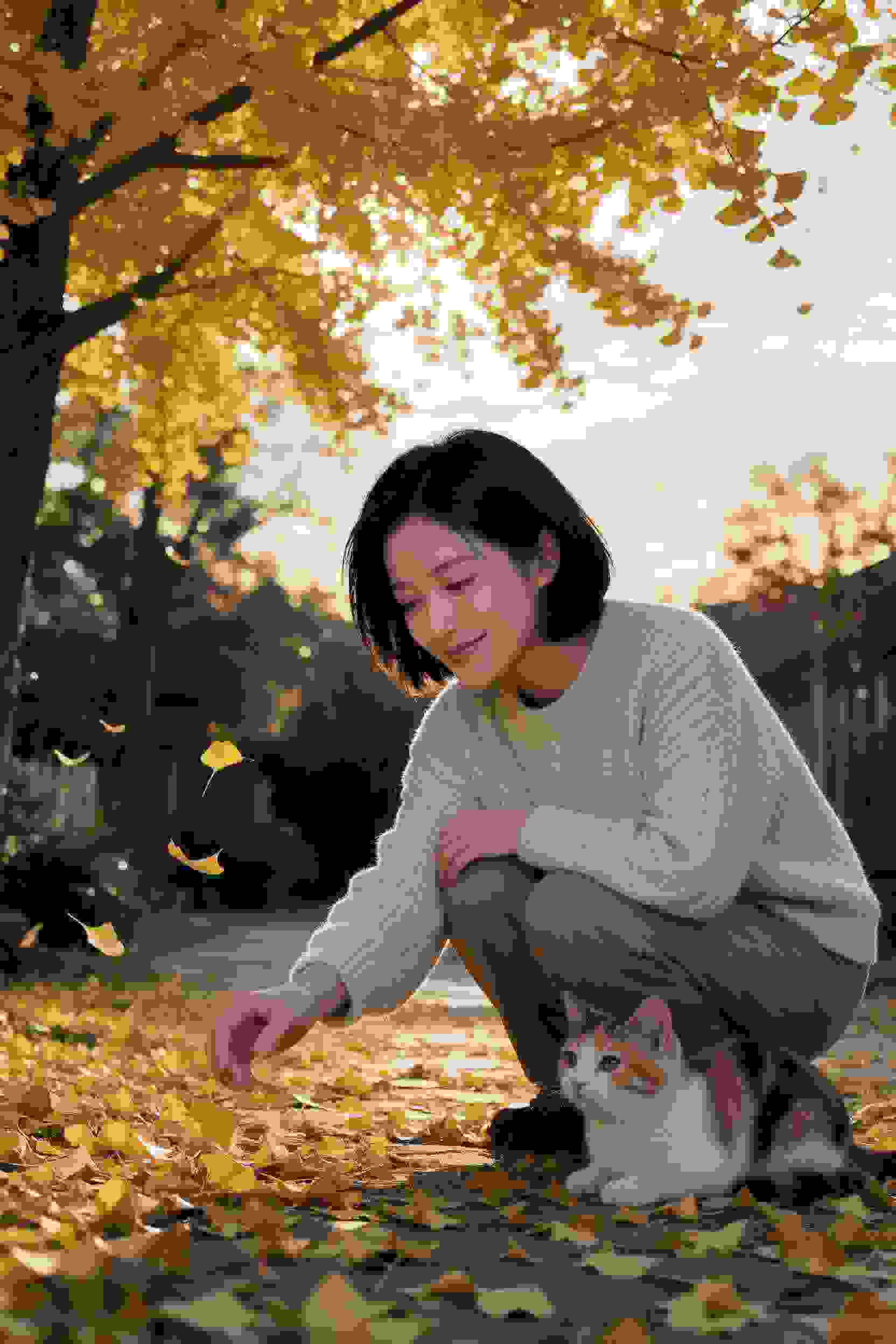 轮播3